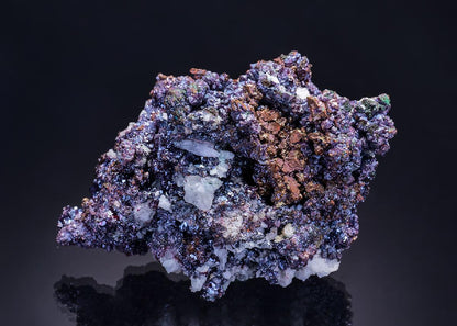 CC42092 specimen image