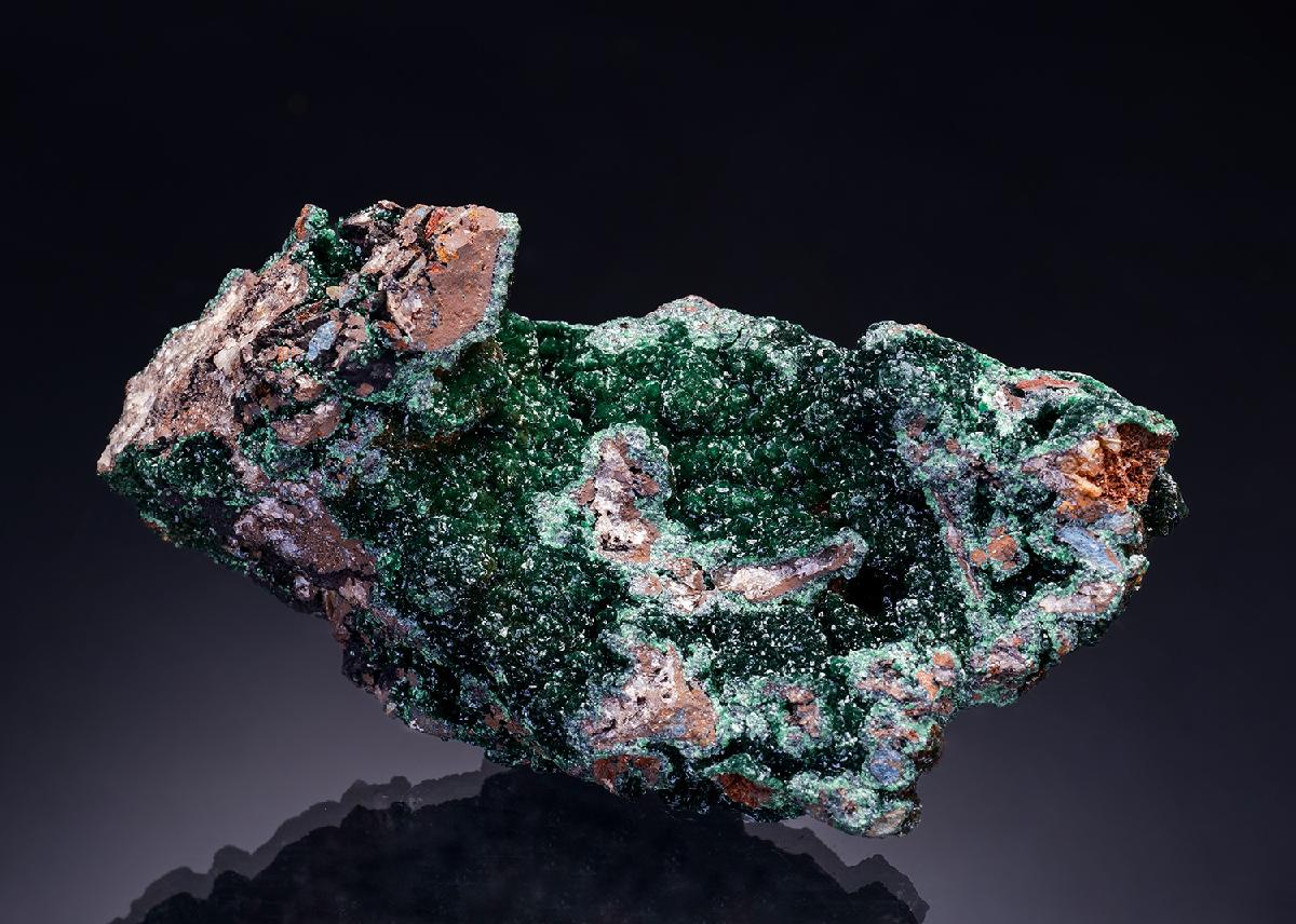 CC42094 specimen image