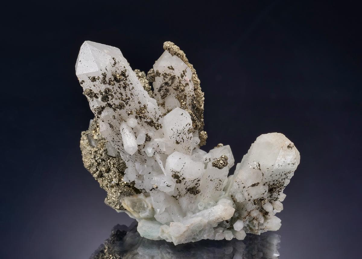 CC42104 specimen image