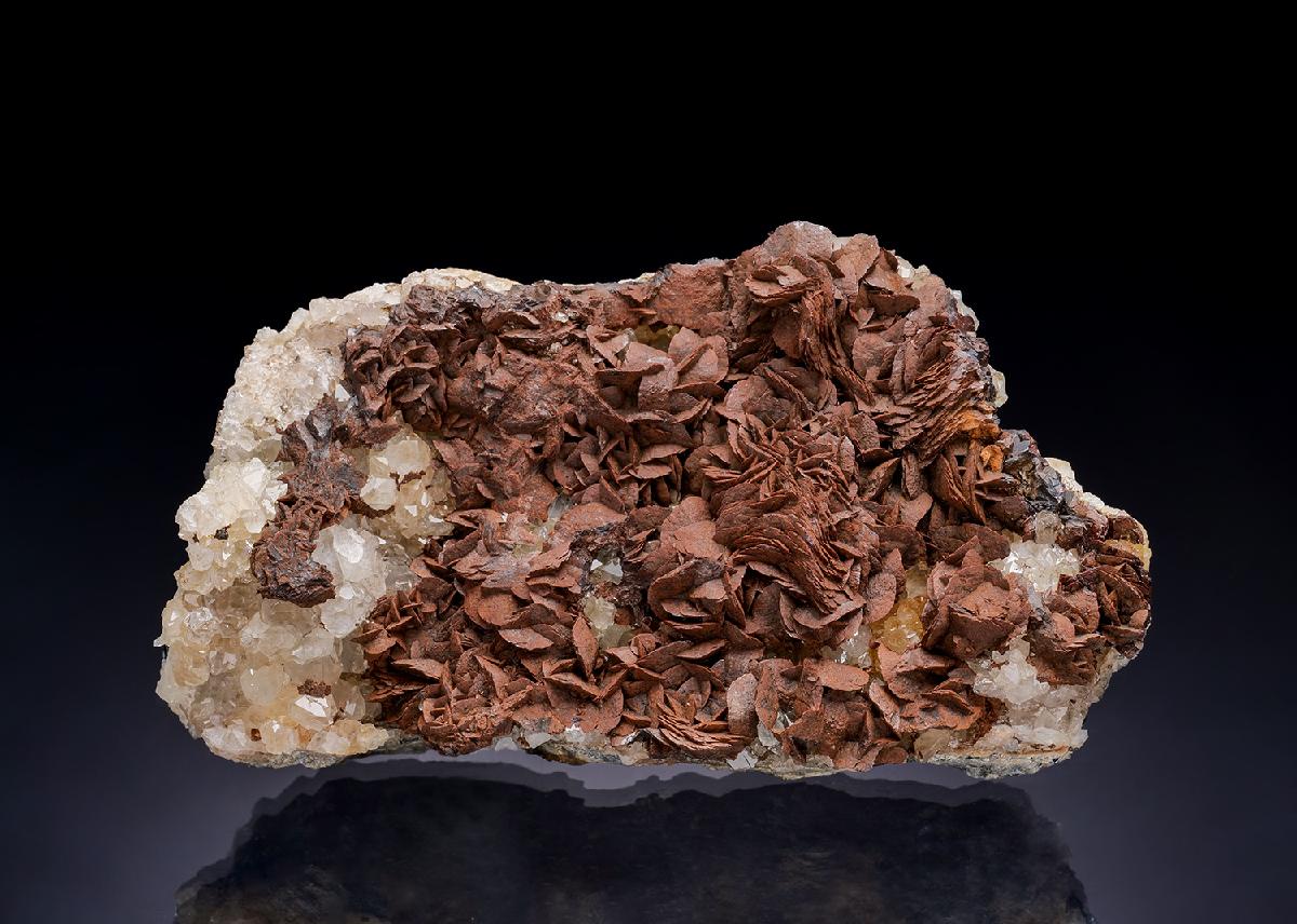 CC42122 specimen image