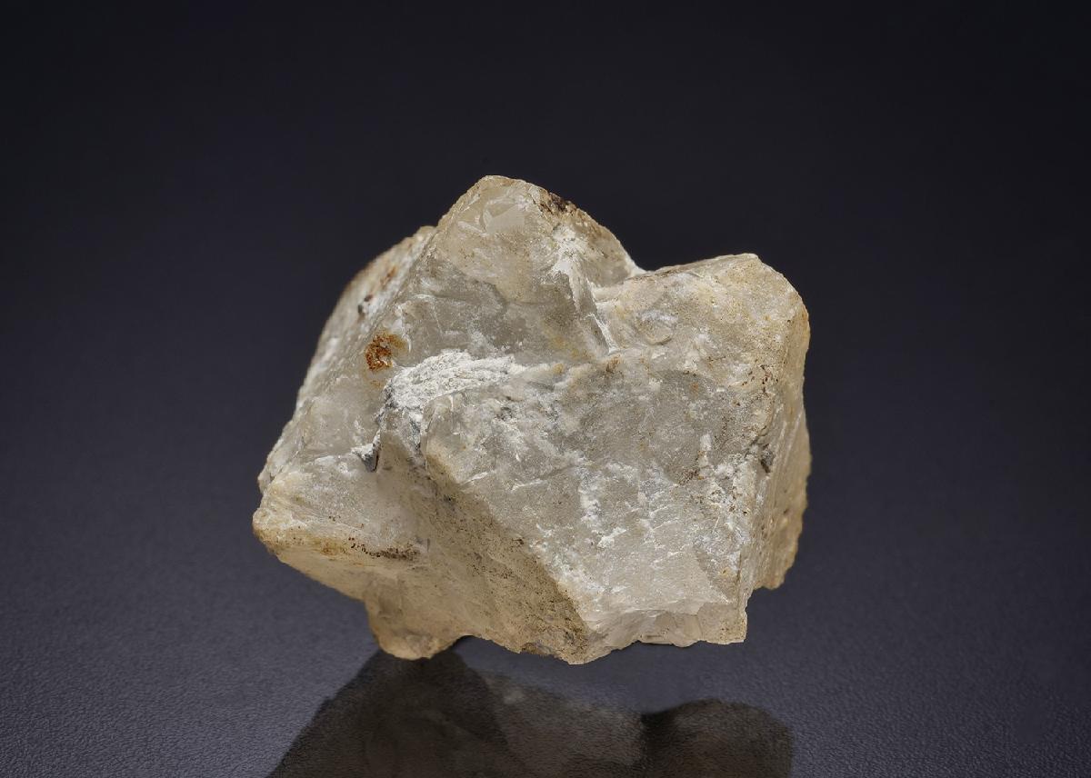 CC42132 specimen image
