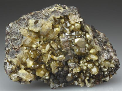 CC4216 specimen image