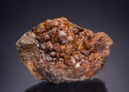 CC42160 specimen image
