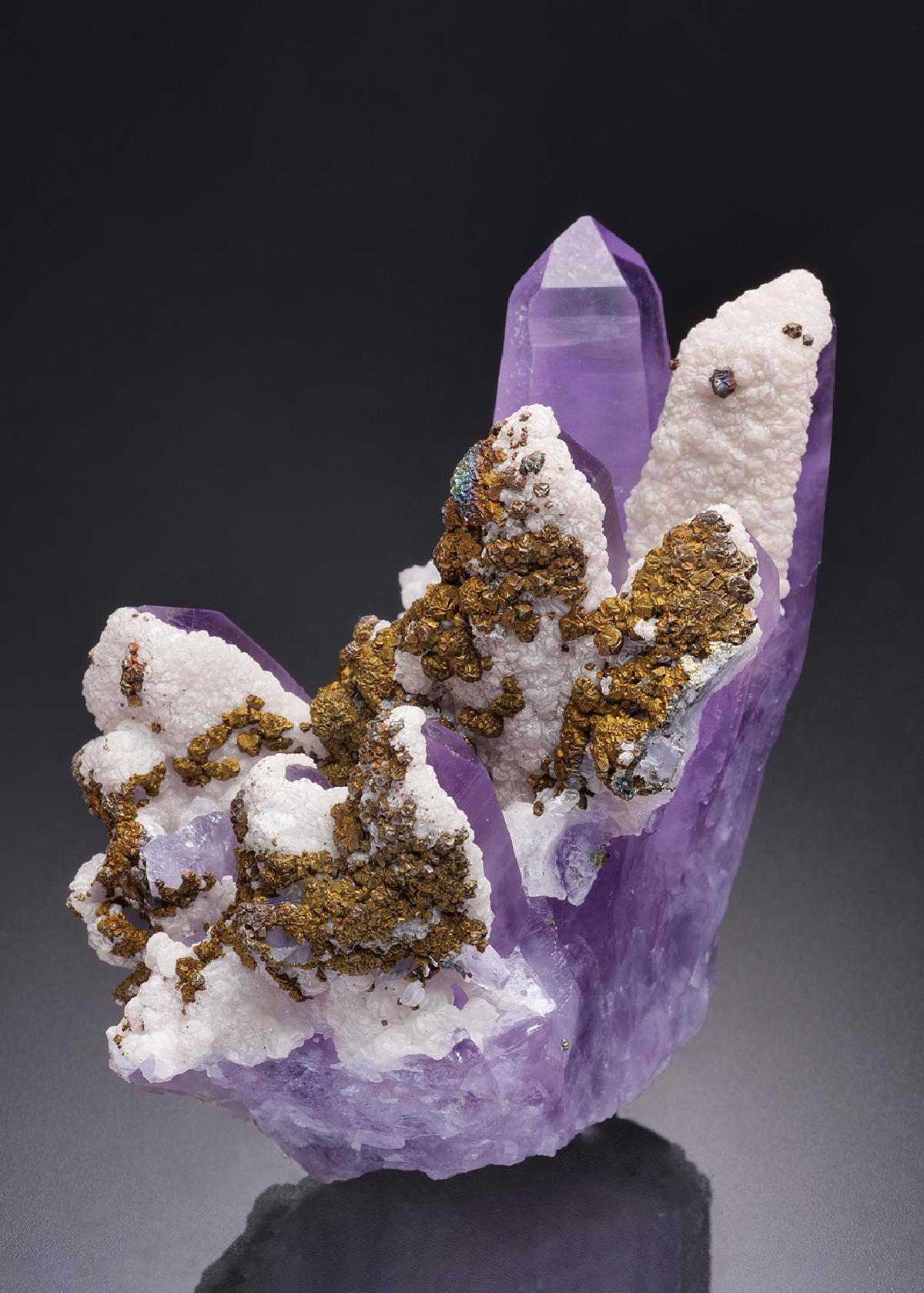 CC42172 specimen image