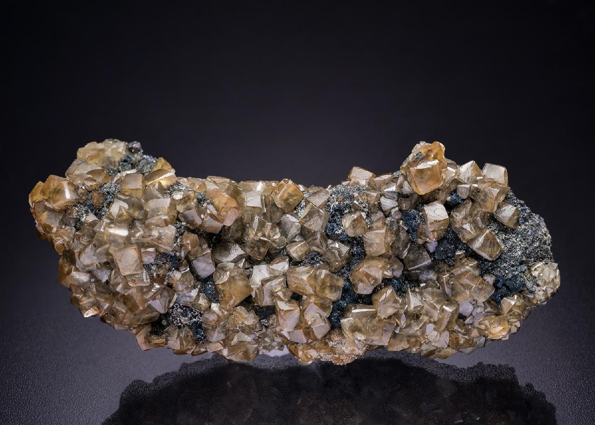 CC42182 specimen image