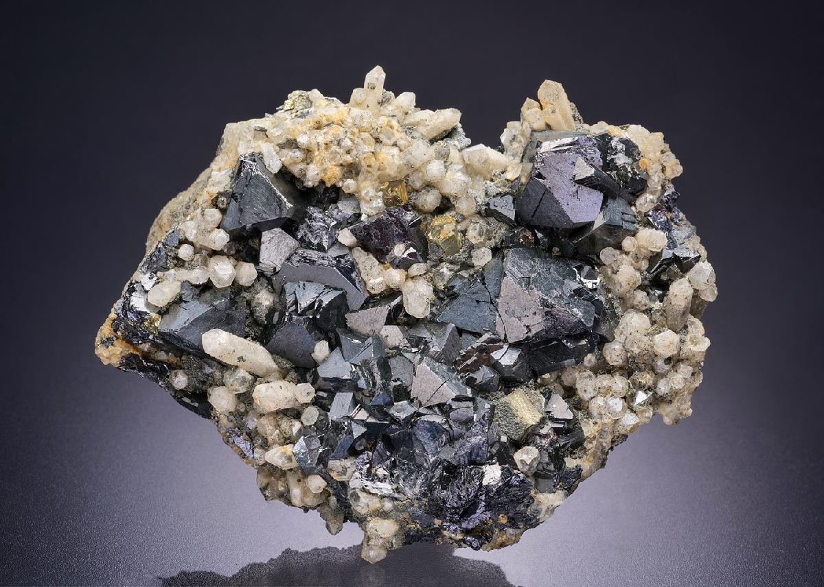 CC42184 specimen image