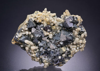 CC42184 specimen image