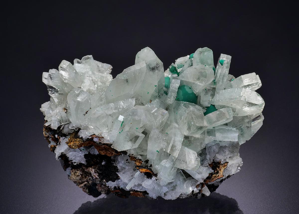 CC42188 specimen image