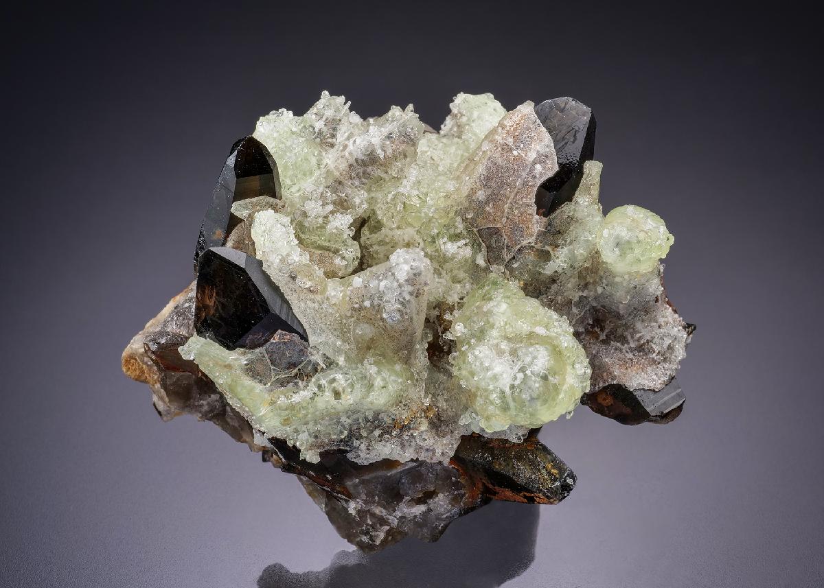 CC42190 specimen image