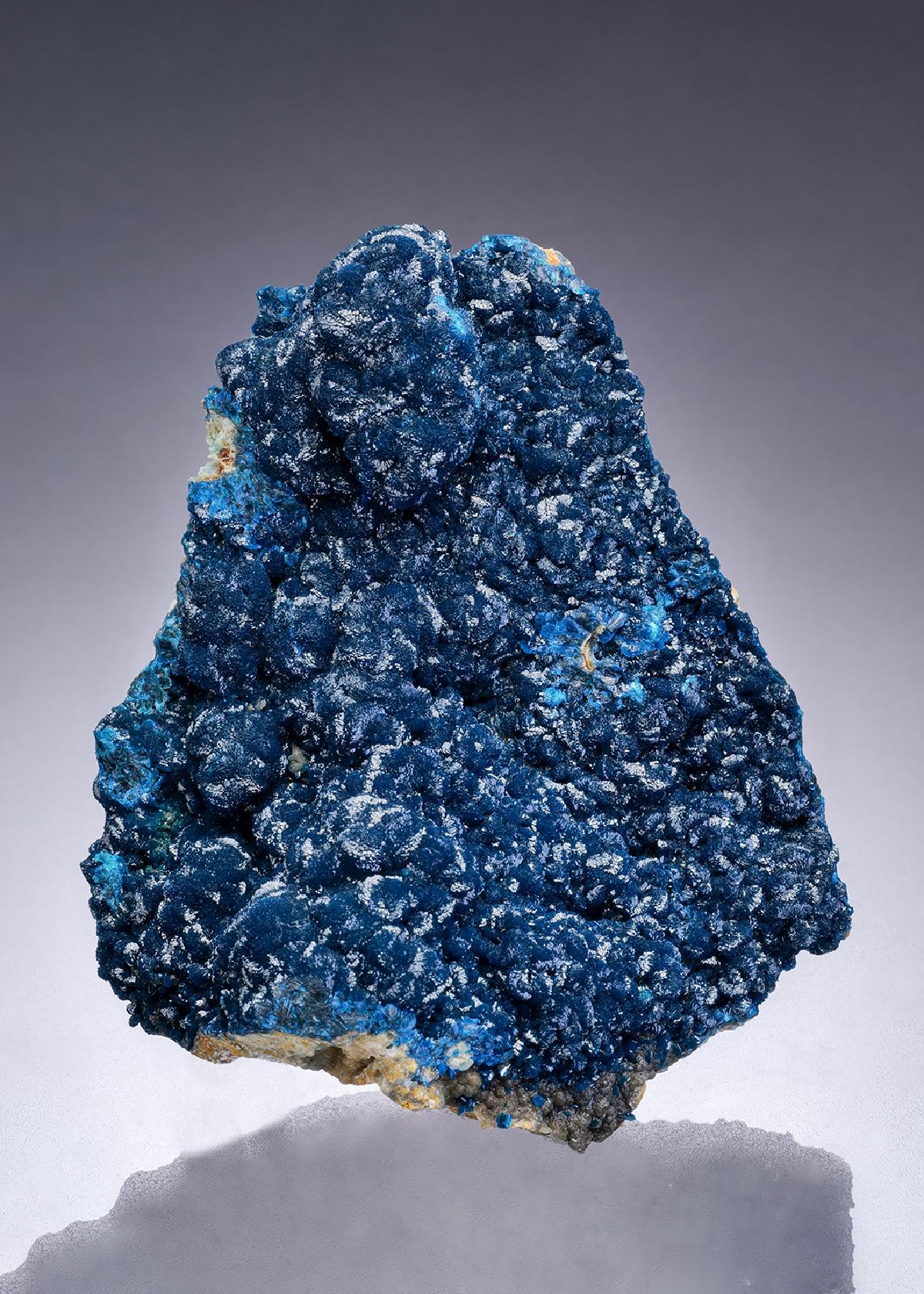 CC42210 specimen image