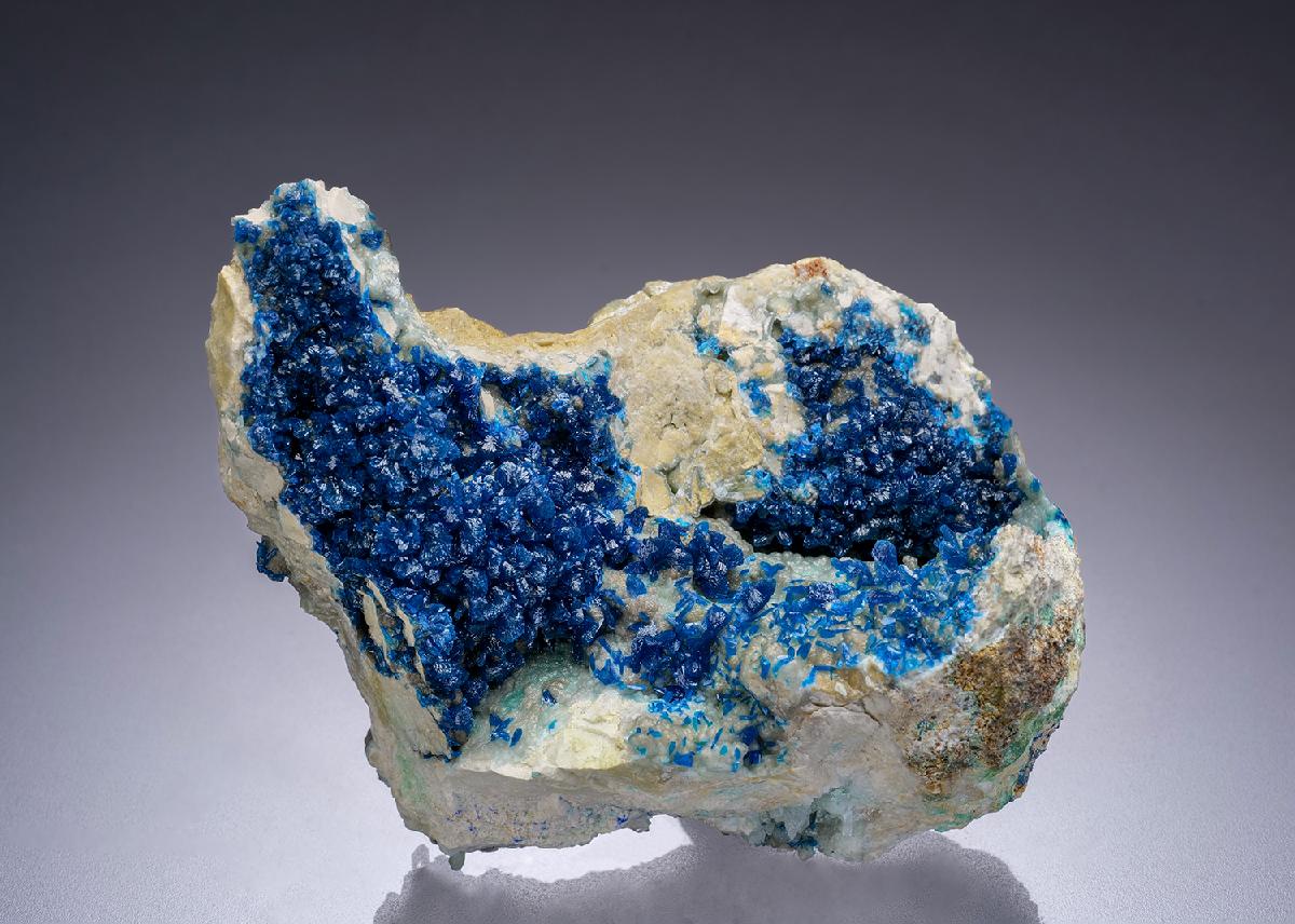 CC42212 specimen image