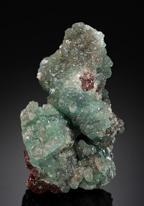CC4224 specimen image