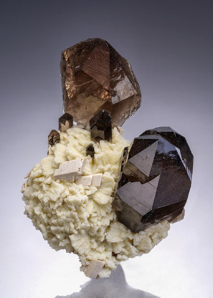 CC42264 specimen image