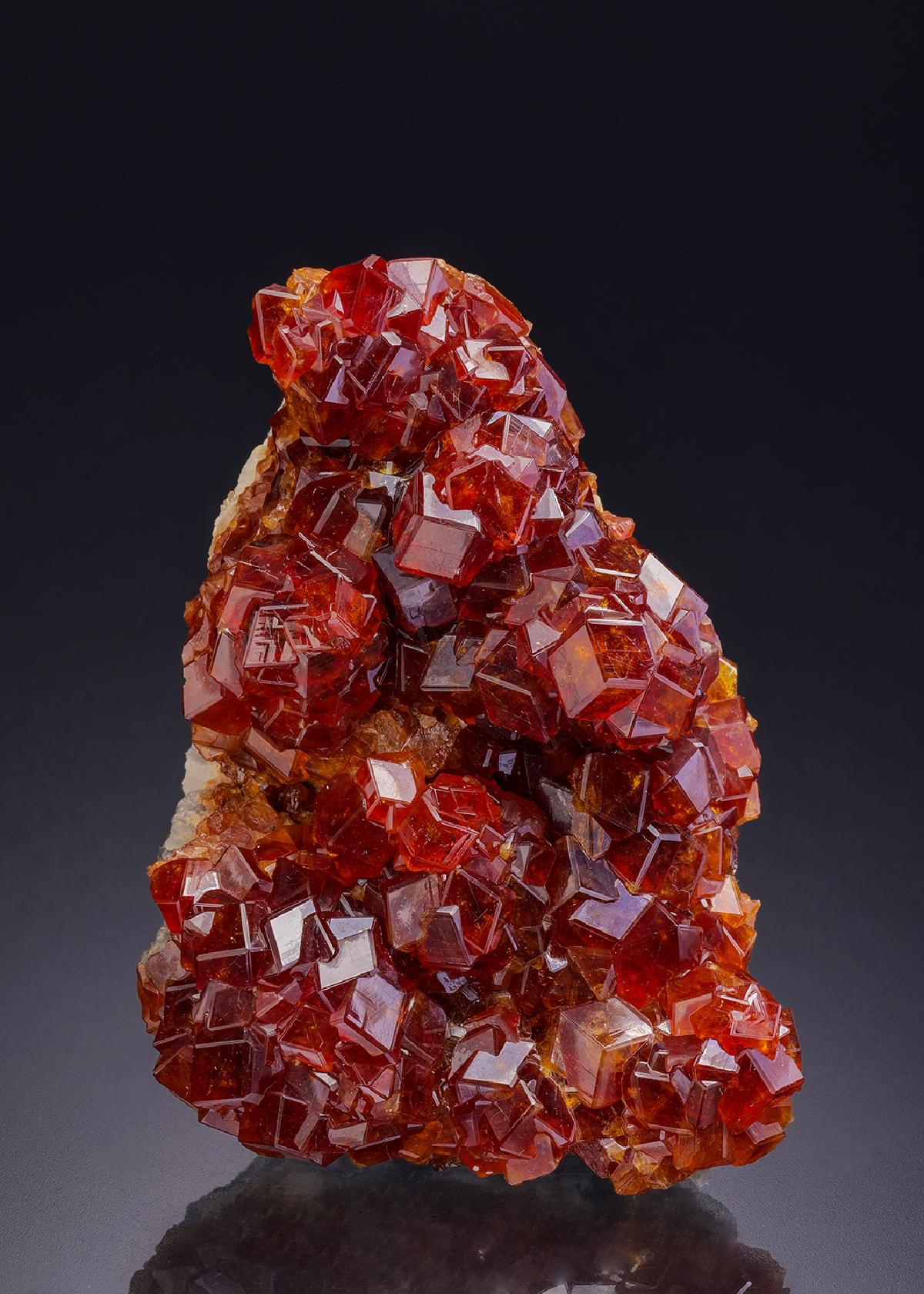 CC42266 specimen image