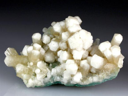 CC4230 specimen image