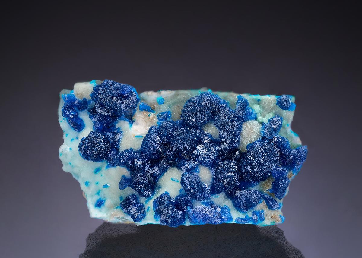 CC42304 specimen image