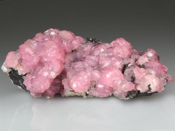 CC4235 specimen image