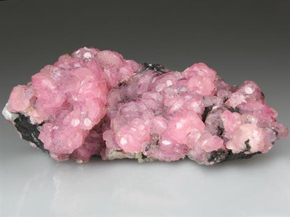 CC4235 specimen image