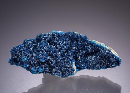 CC42364 specimen image