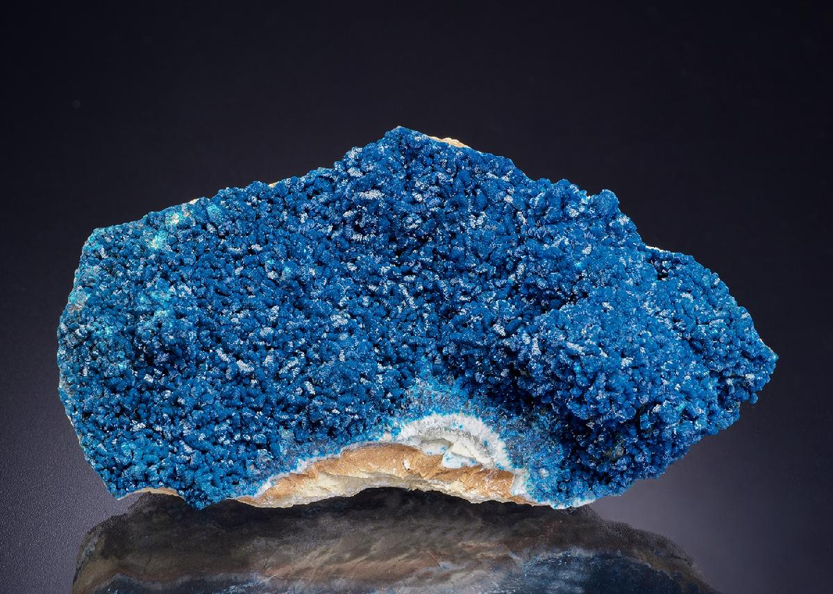 CC42366 specimen image
