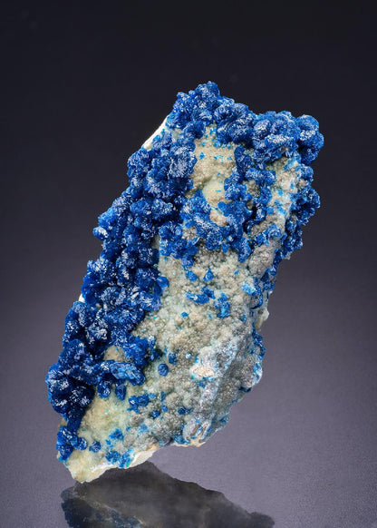 CC42368 specimen image