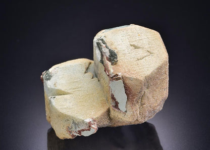 CC42376 specimen image