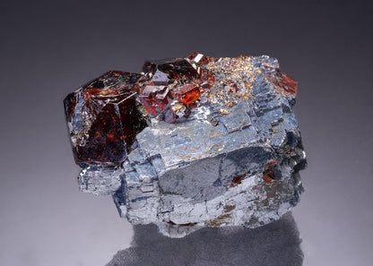 CC42404 specimen image