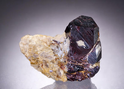 CC42410 specimen image