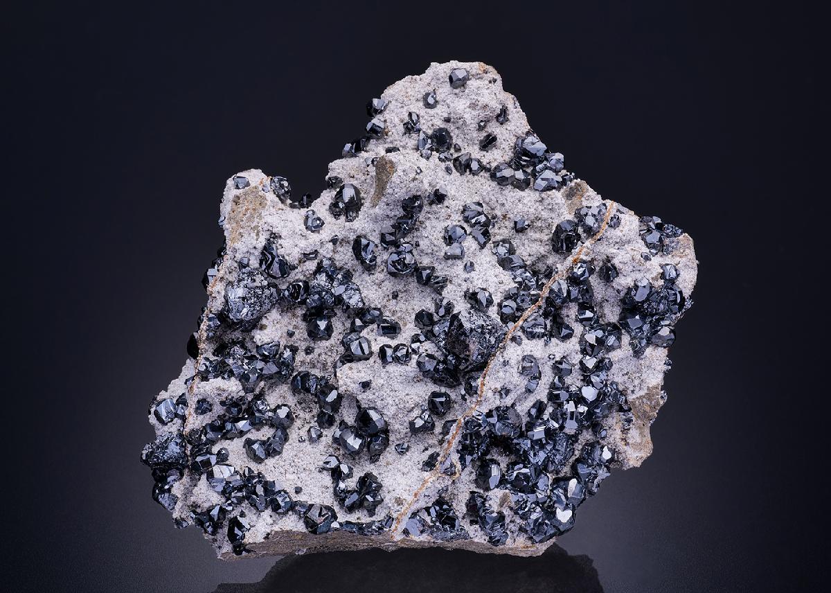 CC42438 specimen image