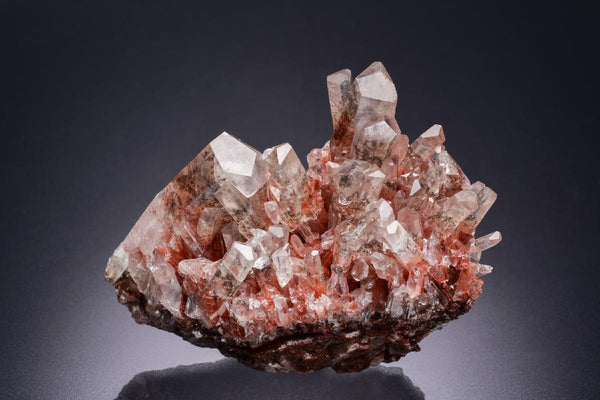 CC42454 specimen image