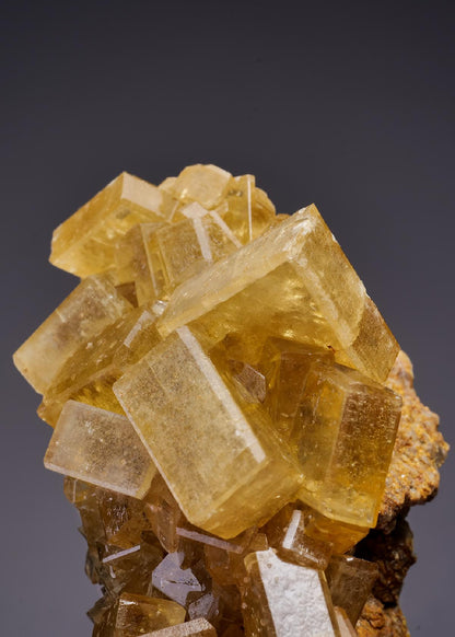 CC42460 specimen image