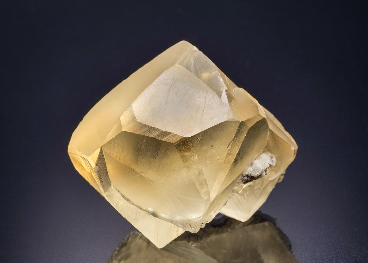 CC42462 specimen image