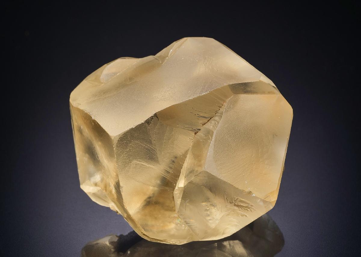 CC42464 specimen image