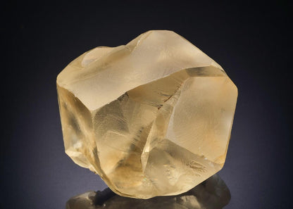 CC42464 specimen image