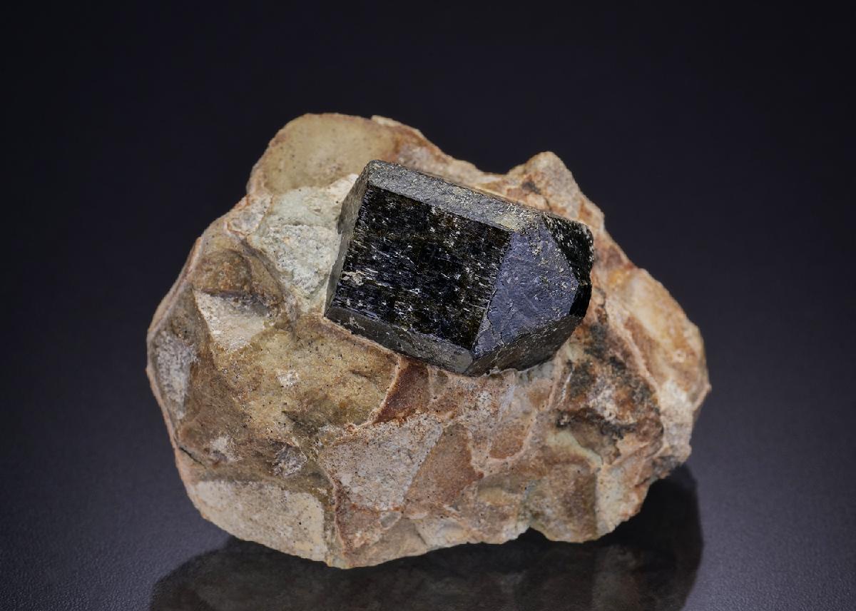 CC42472 specimen image