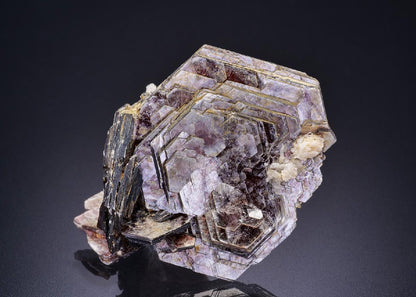CC42484 specimen image