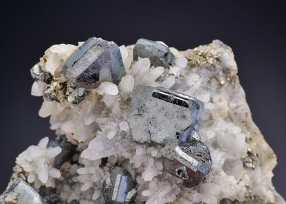 CC42494 specimen image