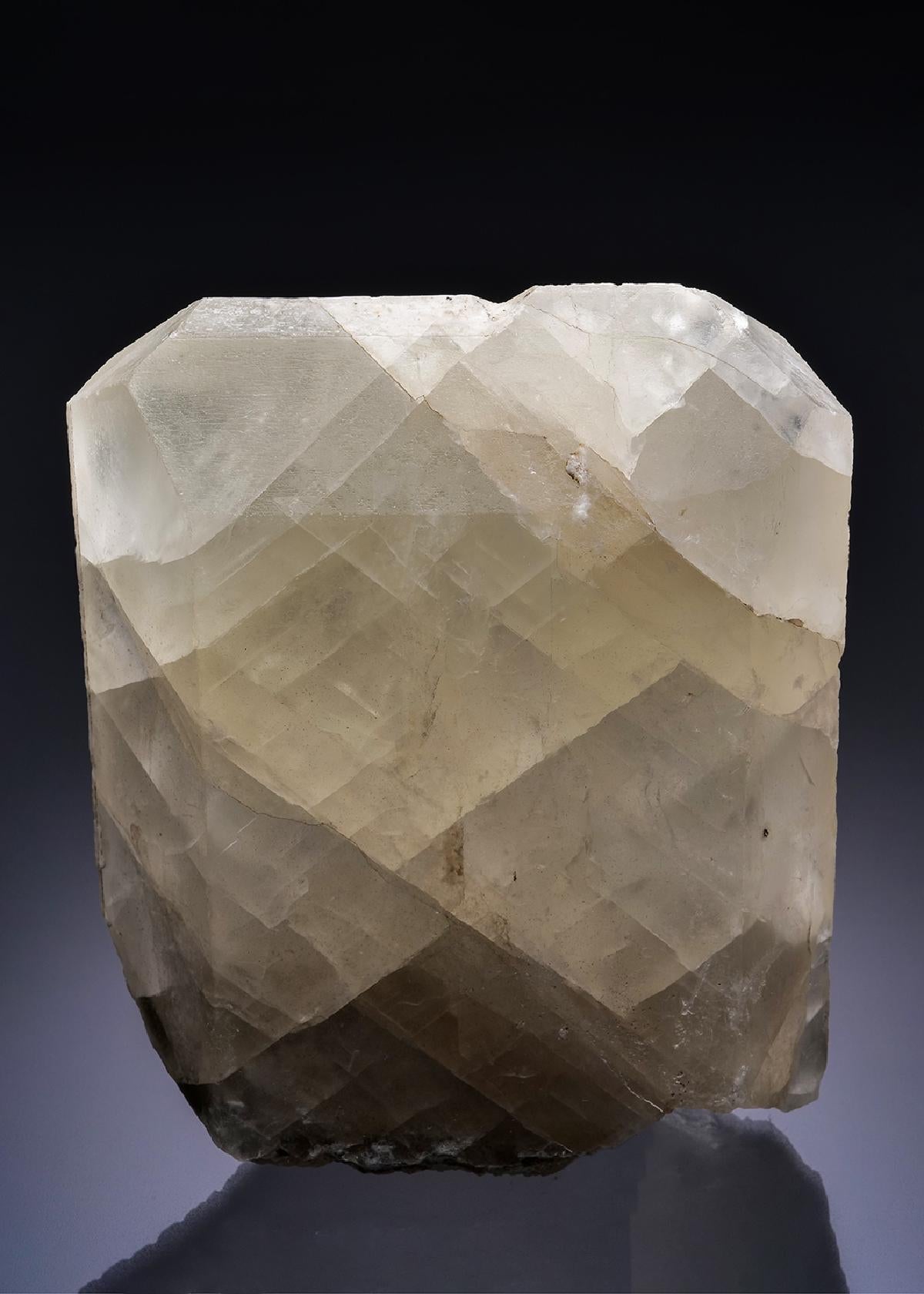 CC42506 specimen image
