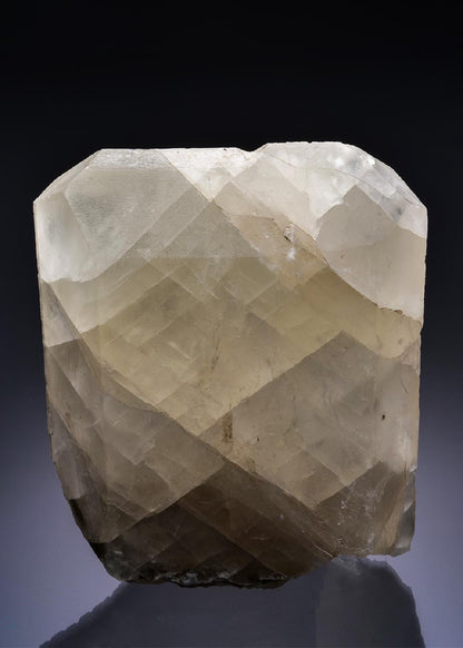 CC42506 specimen image