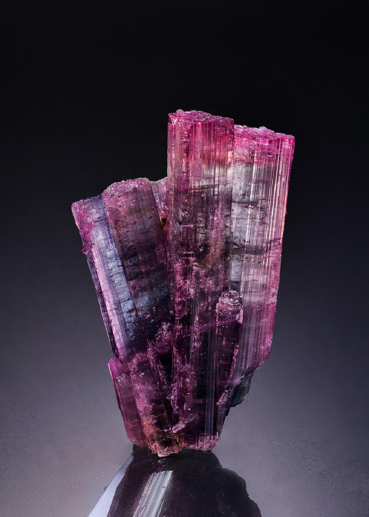 CC42512 specimen image