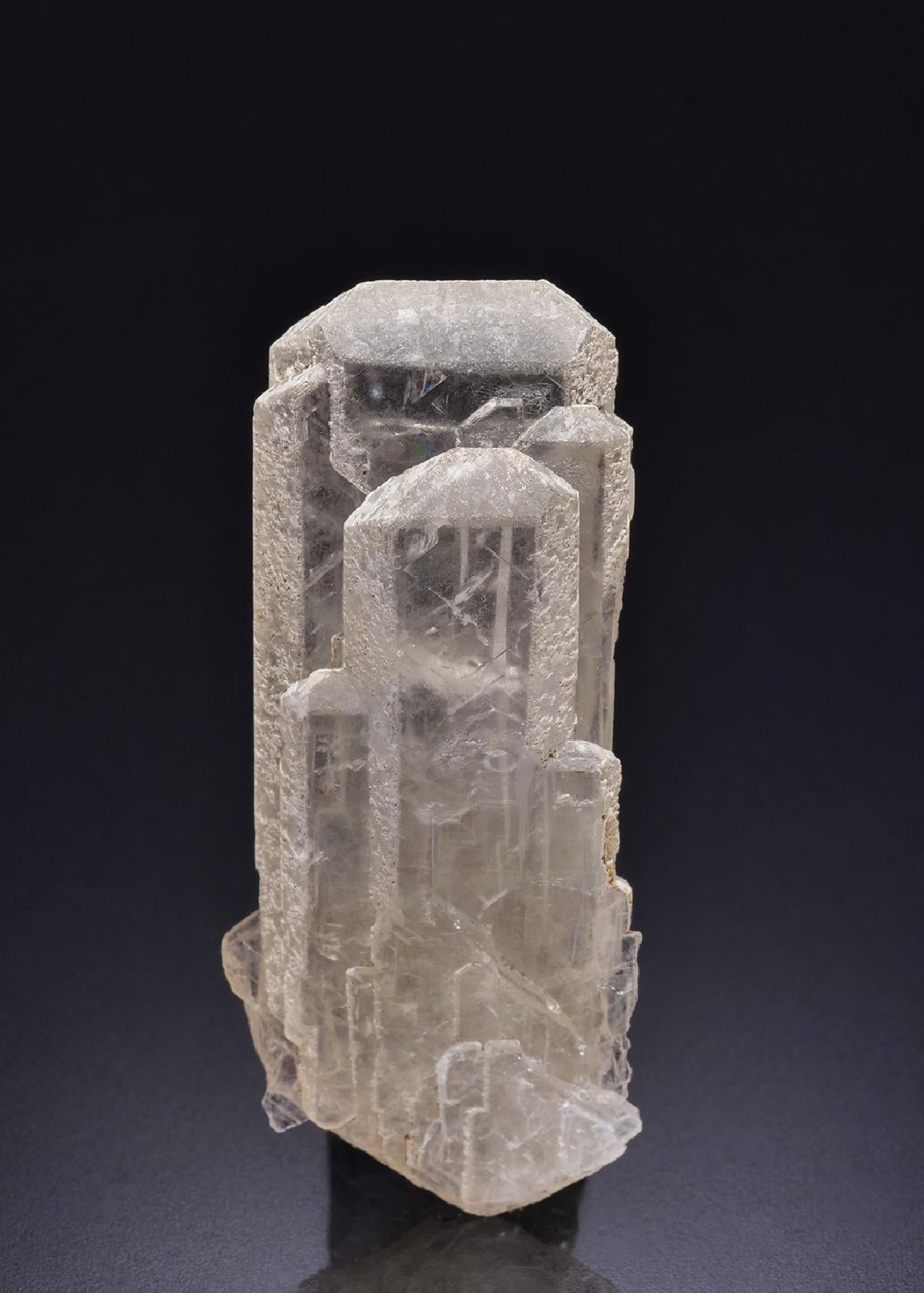 CC42520 specimen image