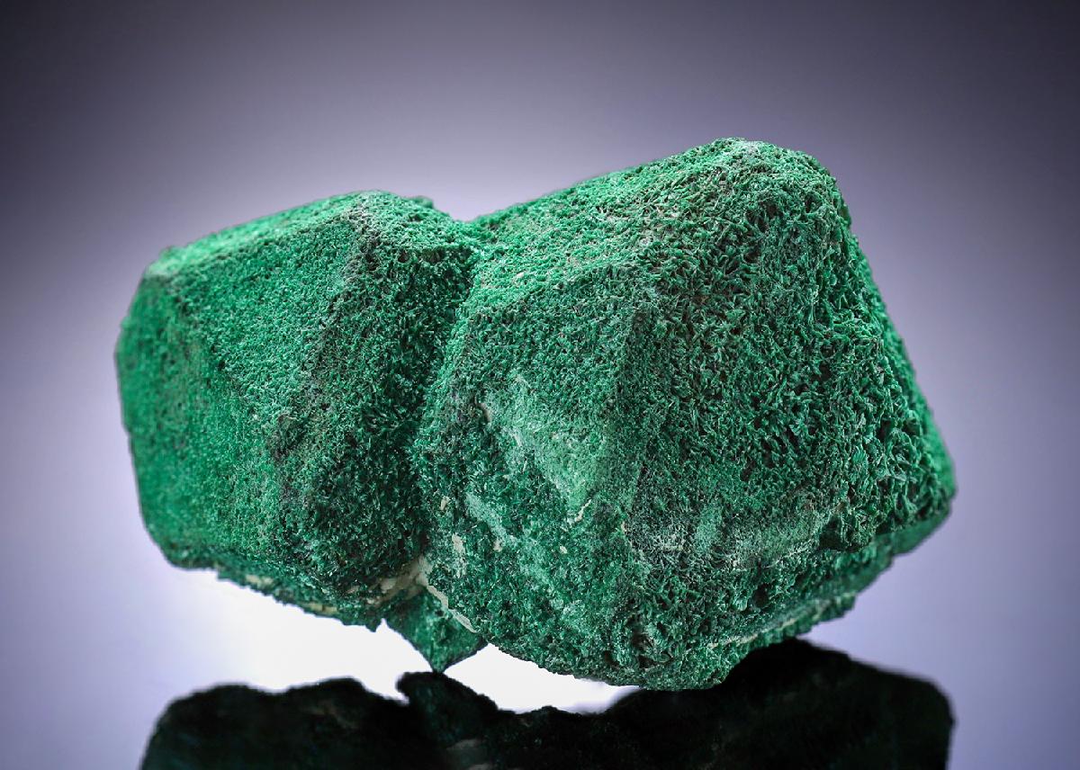 CC4253 specimen image
