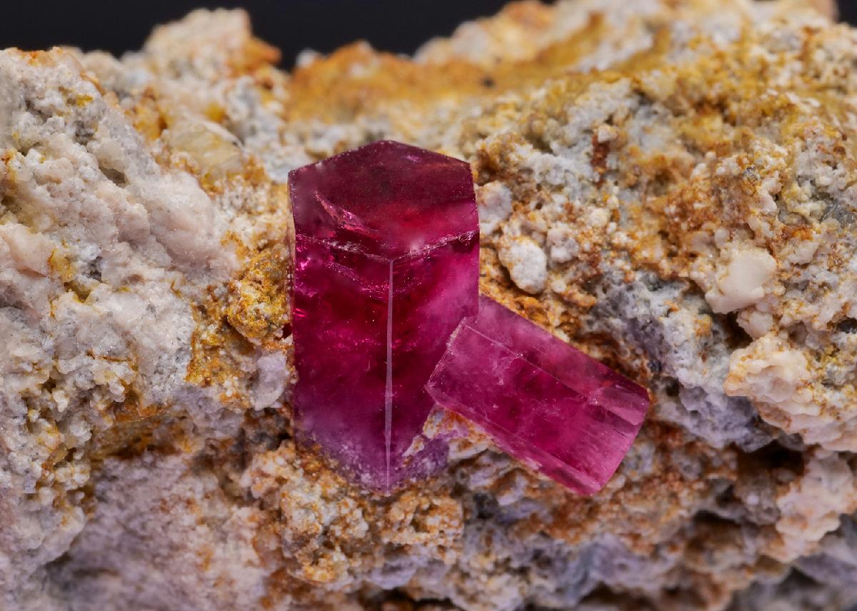 CC42542 specimen image