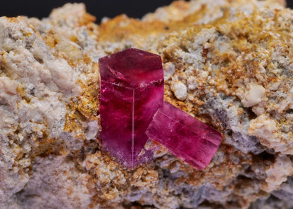 CC42542 specimen image