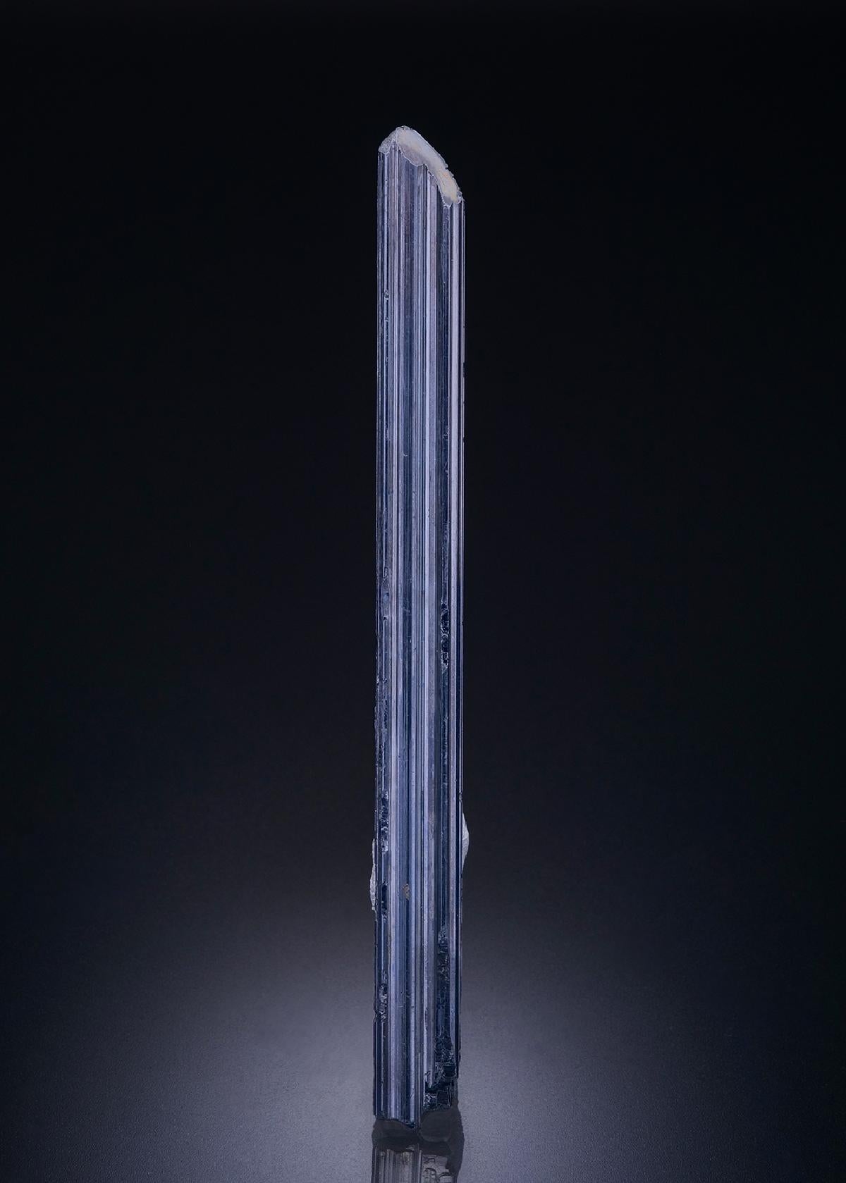 CC42586 specimen image