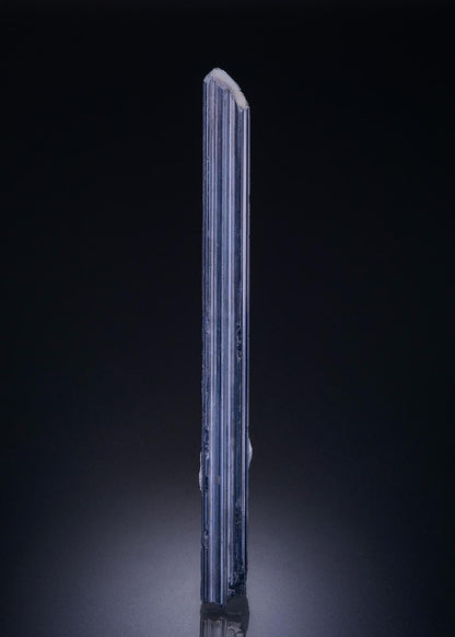CC42586 specimen image
