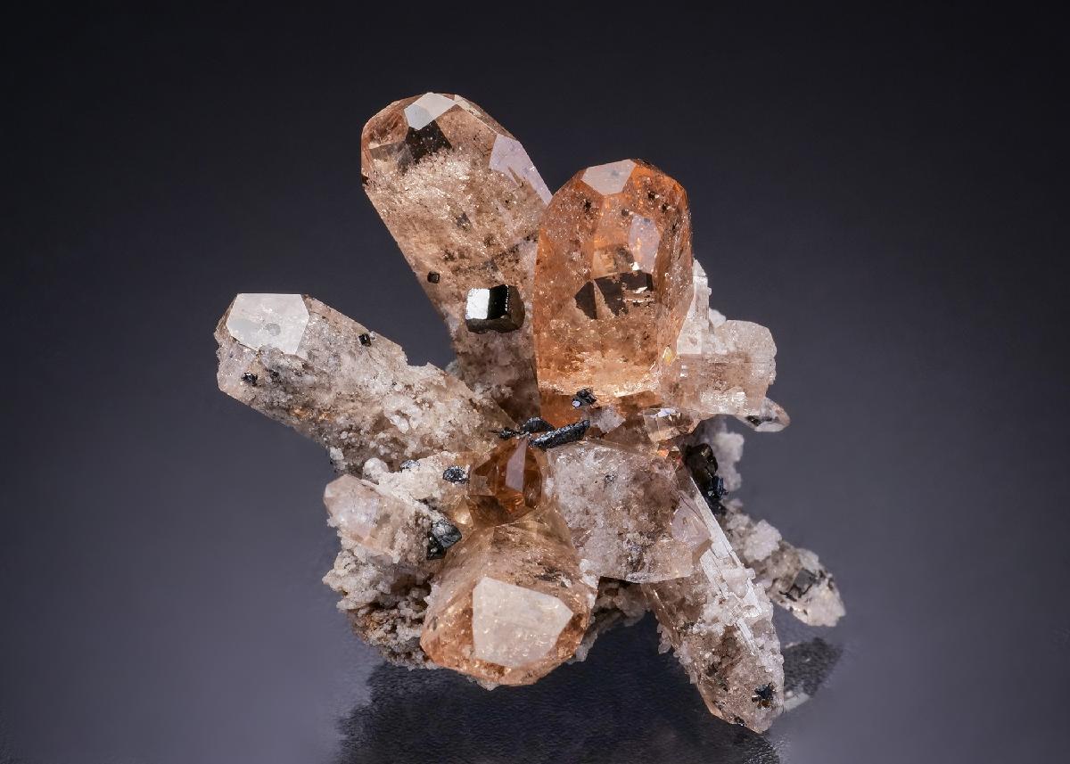 CC42610 specimen image