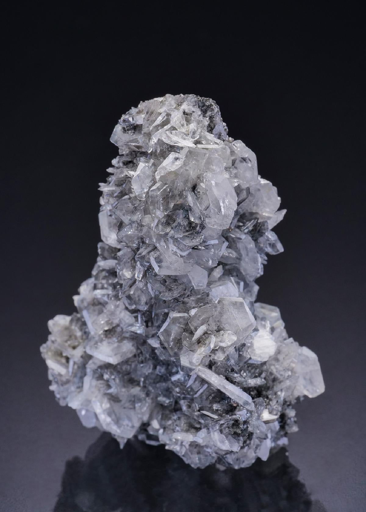 CC42612 specimen image