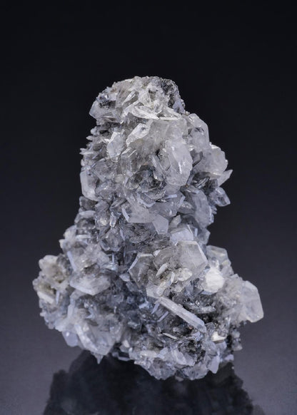 CC42612 specimen image