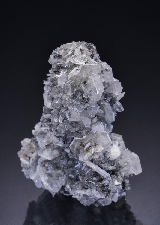 CC42612 specimen image